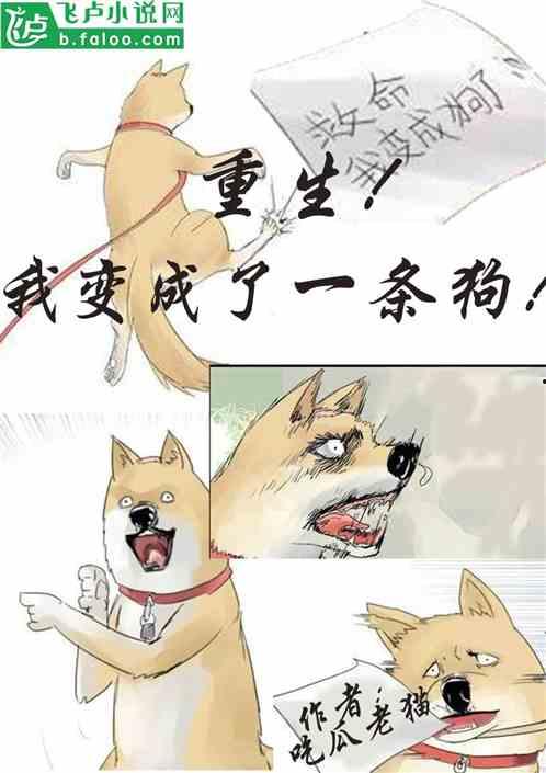 娱乐吃瓜猫捉鸟小说,娱乐吃瓜界的甜蜜陷阱